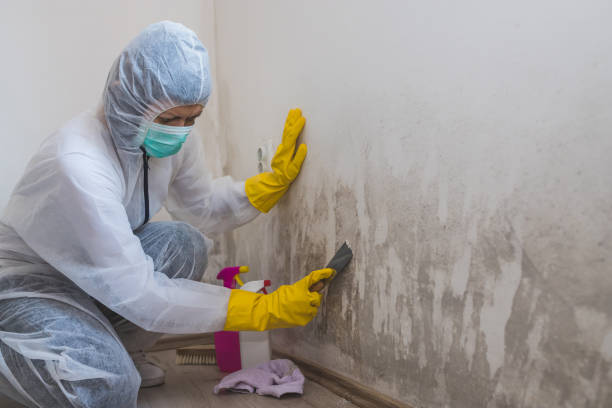 Best Airborne Mold Testing  in Winter Haven, FL