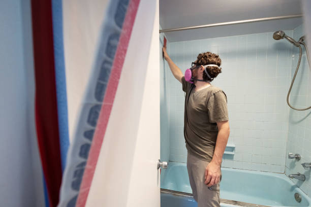 Asbestos and Lead Testing During Mold Inspection in Winter Haven, FL