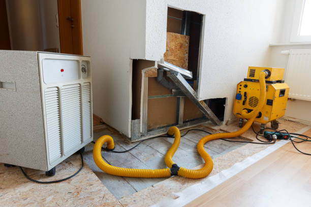 Best Air Quality Testing for Mold Spores  in Winter Haven, FL