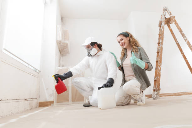 Best Industrial Mold Remediation  in Winter Haven, FL